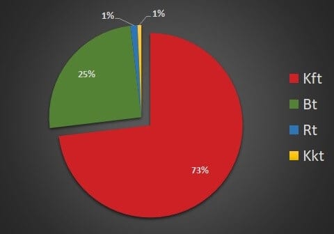 Types of companies in Hungary